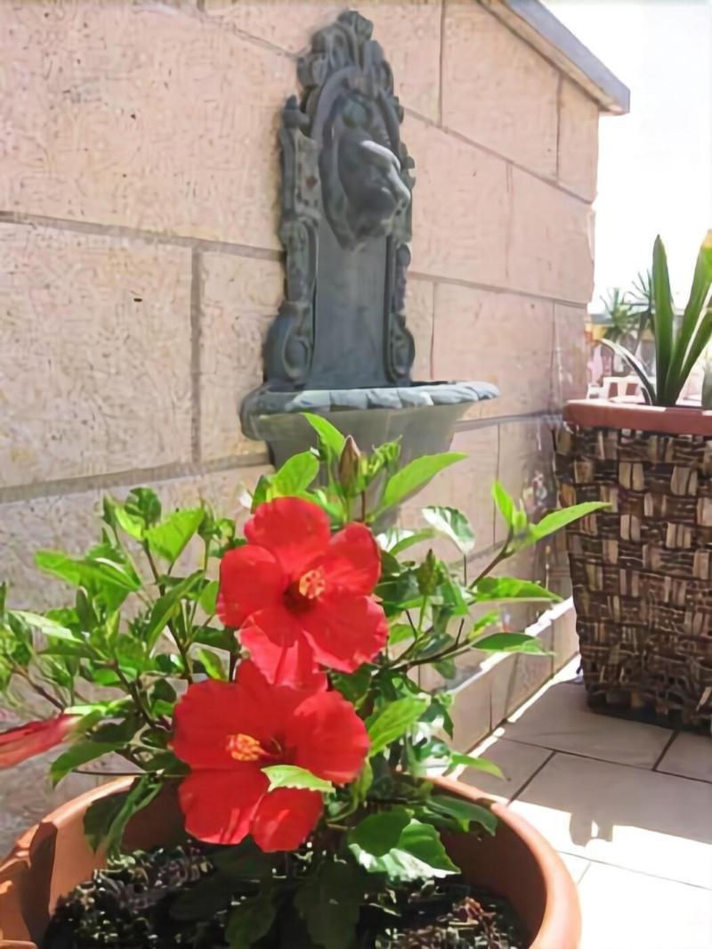 Hotel Garden В'яреджо Екстер'єр фото