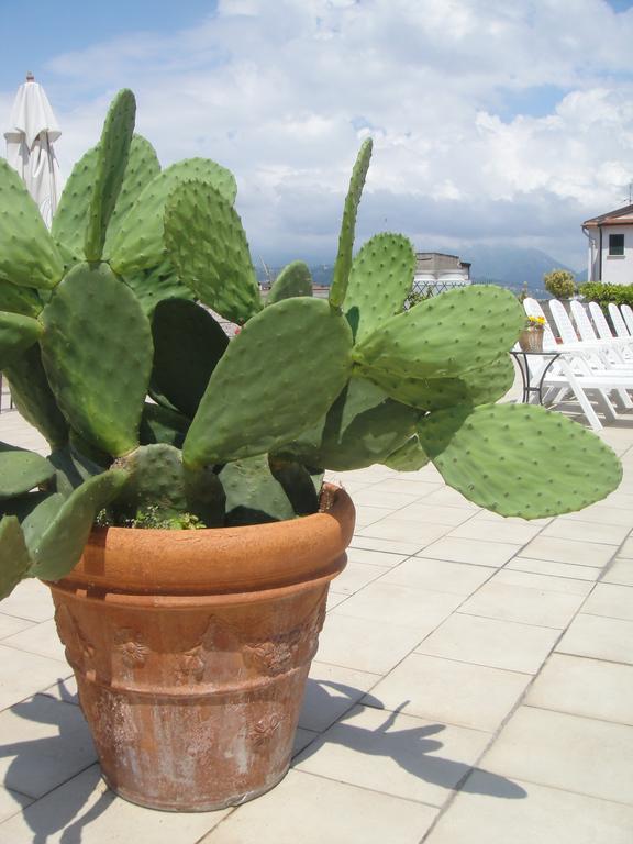 Hotel Garden В'яреджо Екстер'єр фото